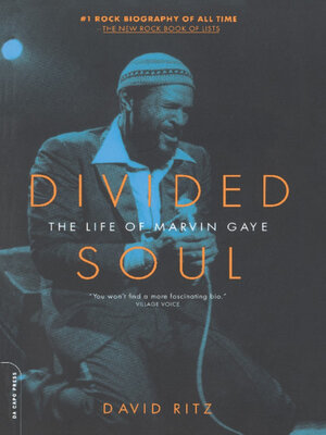 cover image of Divided Soul